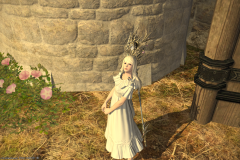Ffxiv 01032015 220218
