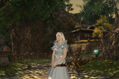Ffxiv 25012015 215916