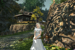 Ffxiv 25012015 215704