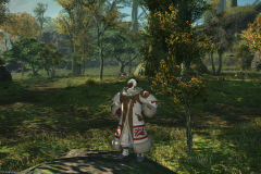 Ffxiv 09102014 222018