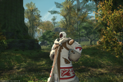 Ffxiv 09102014 222054