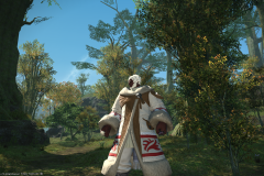 Ffxiv 09102014 222213