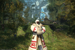 Ffxiv 09102014 222134
