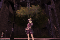 Ffxiv 26122014 155349
