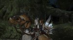 Ride in duo