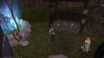 What's happening to our chocobos?