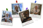 Hale's selphies 2